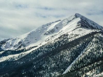 Akademi Pet Eğitim eğitim seansı