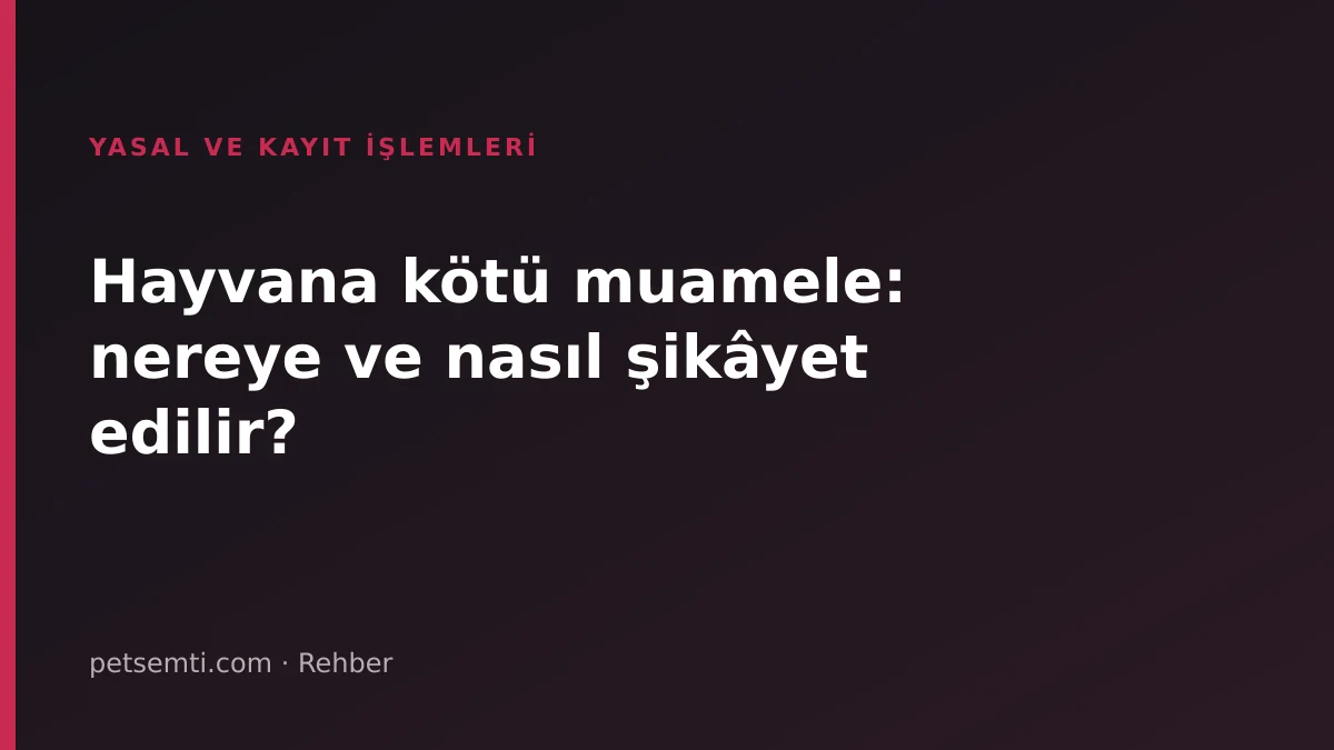 Hayvana kötü muamele: nereye ve nasıl şikâyet edilir?
