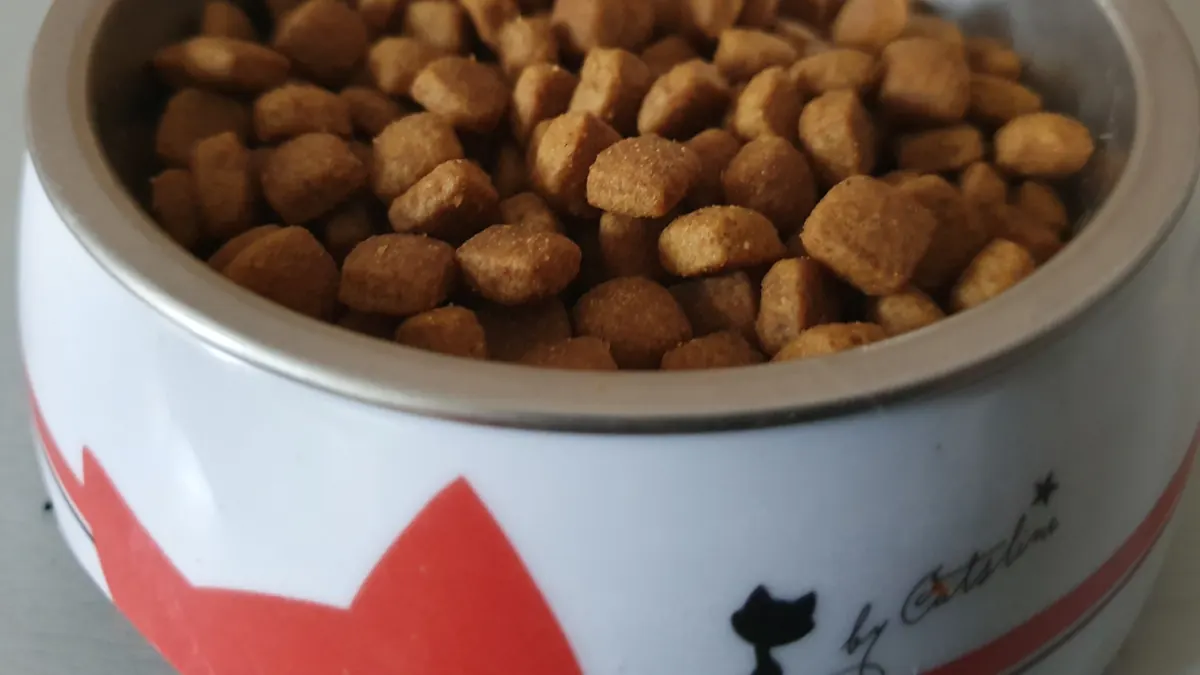 Kedi maması nasıl seçilir?